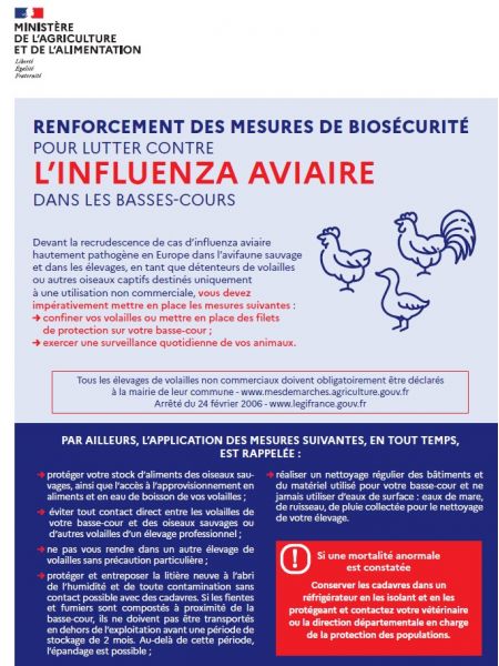 grippe aviaire 11 2022 grippe aviaire 11 2022