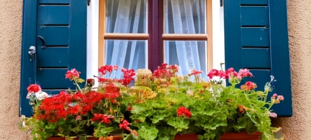 Fleurissement - passage du jury des maisons et balcons fleuris