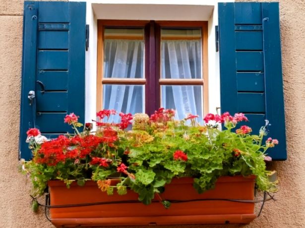Fleurissement - passage du jury des maisons et balcons fleuris