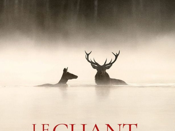 Ciné Sierentz plein air