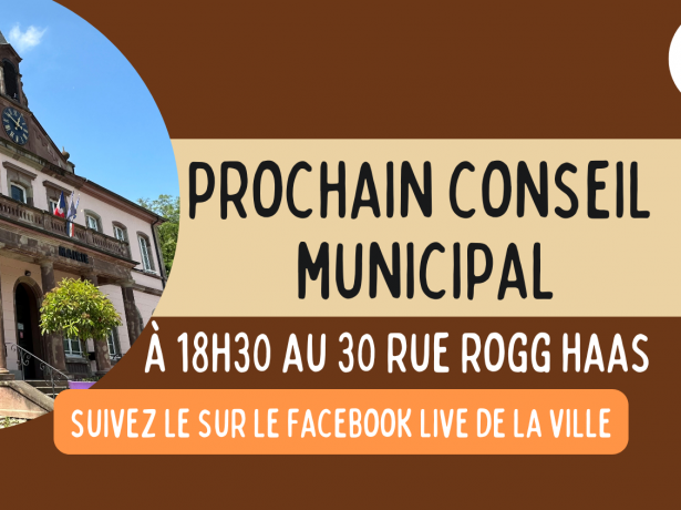 Séance du Conseil Municipal 