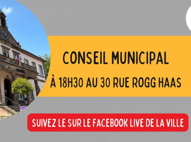 Séance du Conseil Municipal 