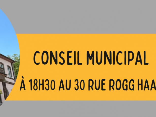 Séances du Conseil Municipal