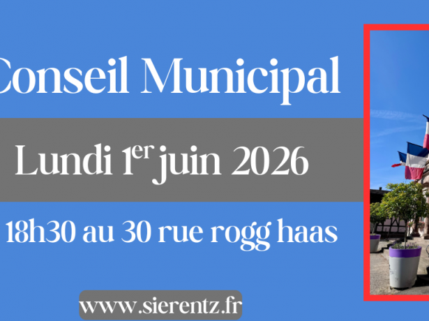 Séance du Conseil Municipal 