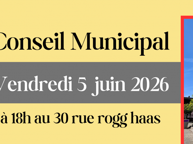 Séance du Conseil Municipal