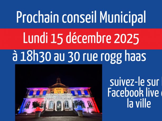 Séance du Conseil Municipal