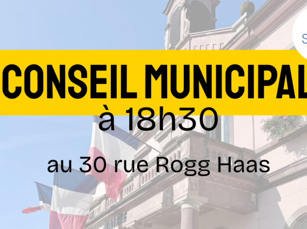 Séance du Conseil Municipal