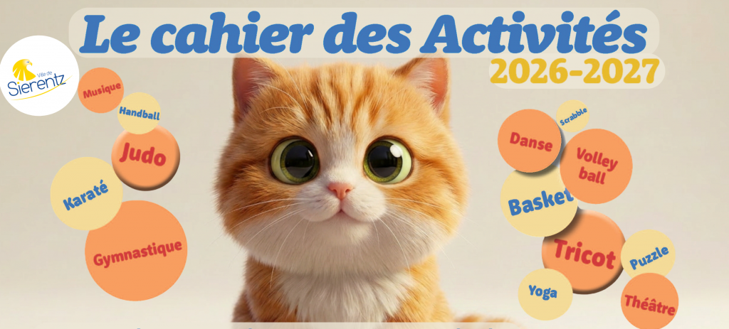 Cahier des Activités