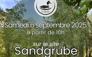 La Sandgrube - un an de nature partagée
