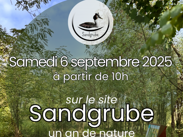 La Sandgrube - un an de nature partagée
